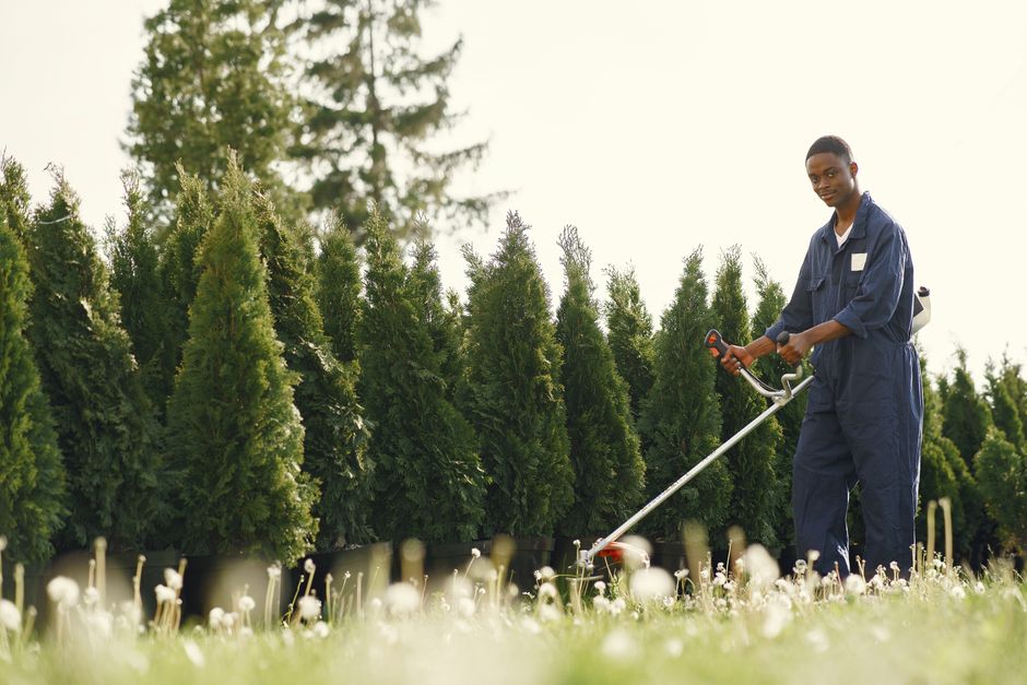 Friendly lawn care worker inspecting the garden