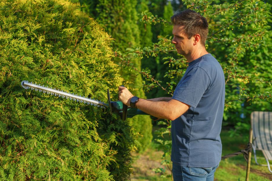 Trimming garden shrubs and landscape installation